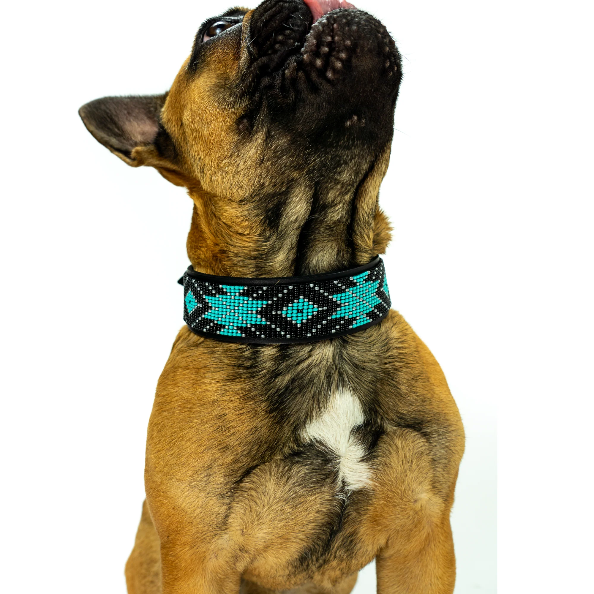 Saint Barth Sambboho dog collar (Deluxe Edition) - Image 8