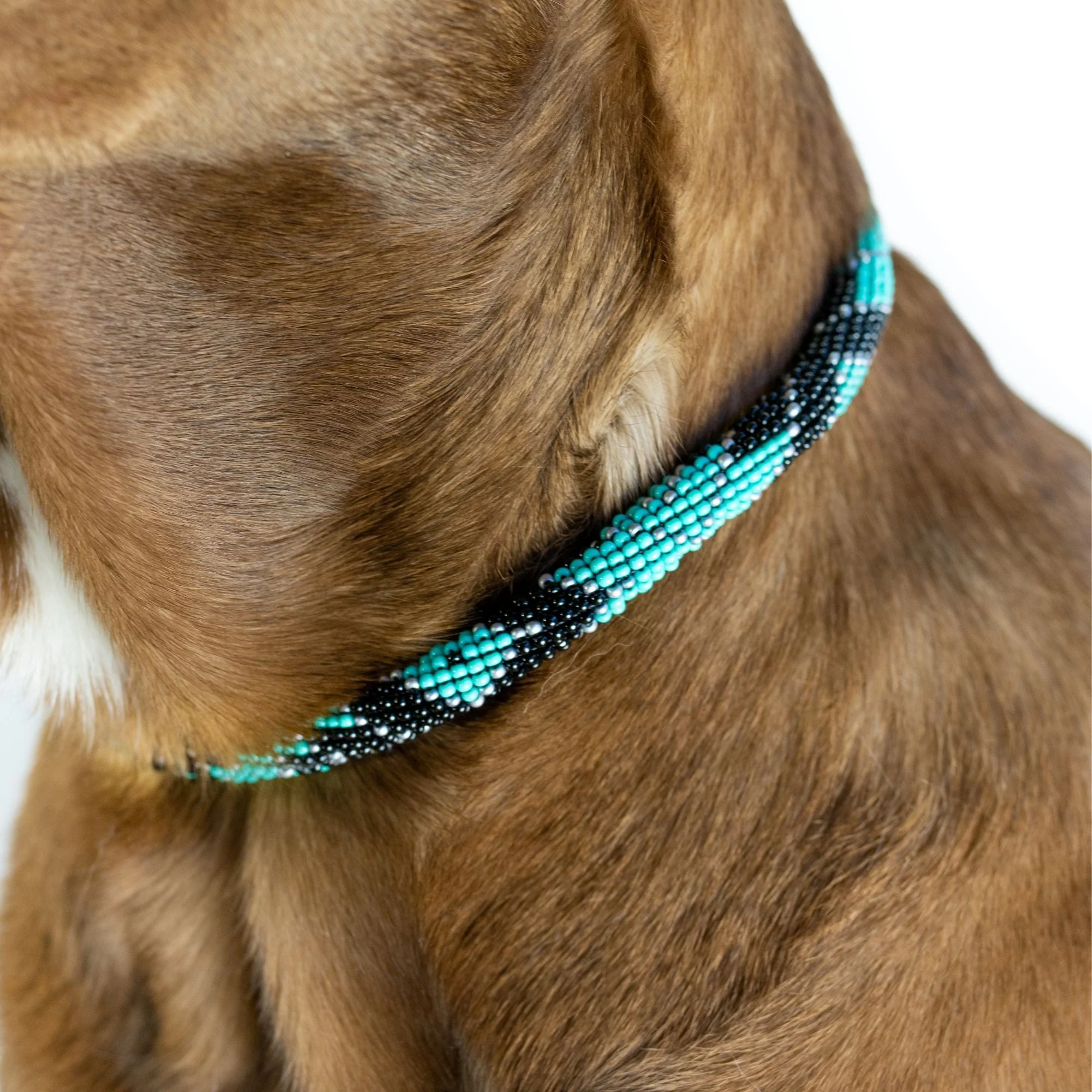 Saint Barth Sambboho dog collar (rolled) - Image 4