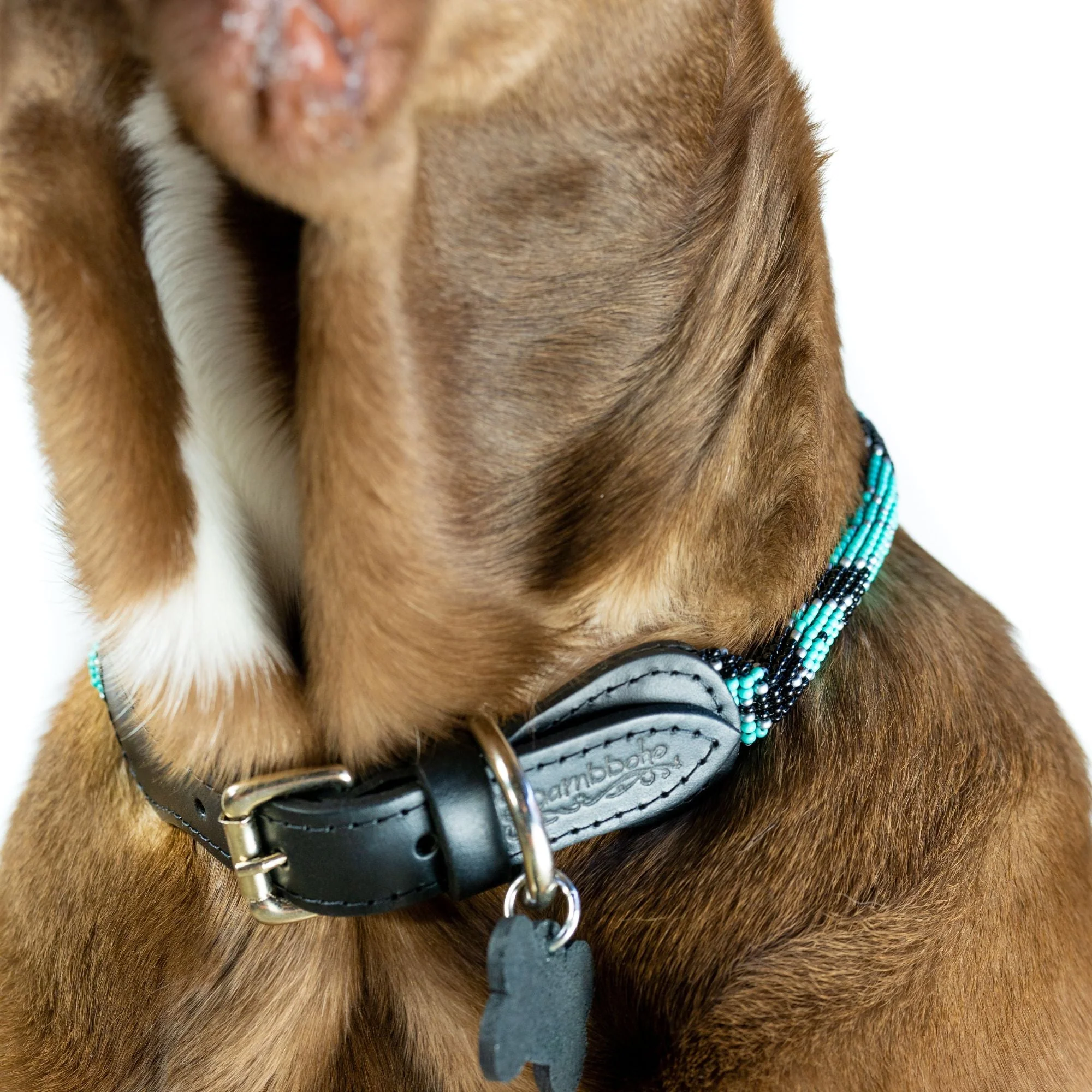 Saint Barth Sambboho dog collar (rolled) - Image 5