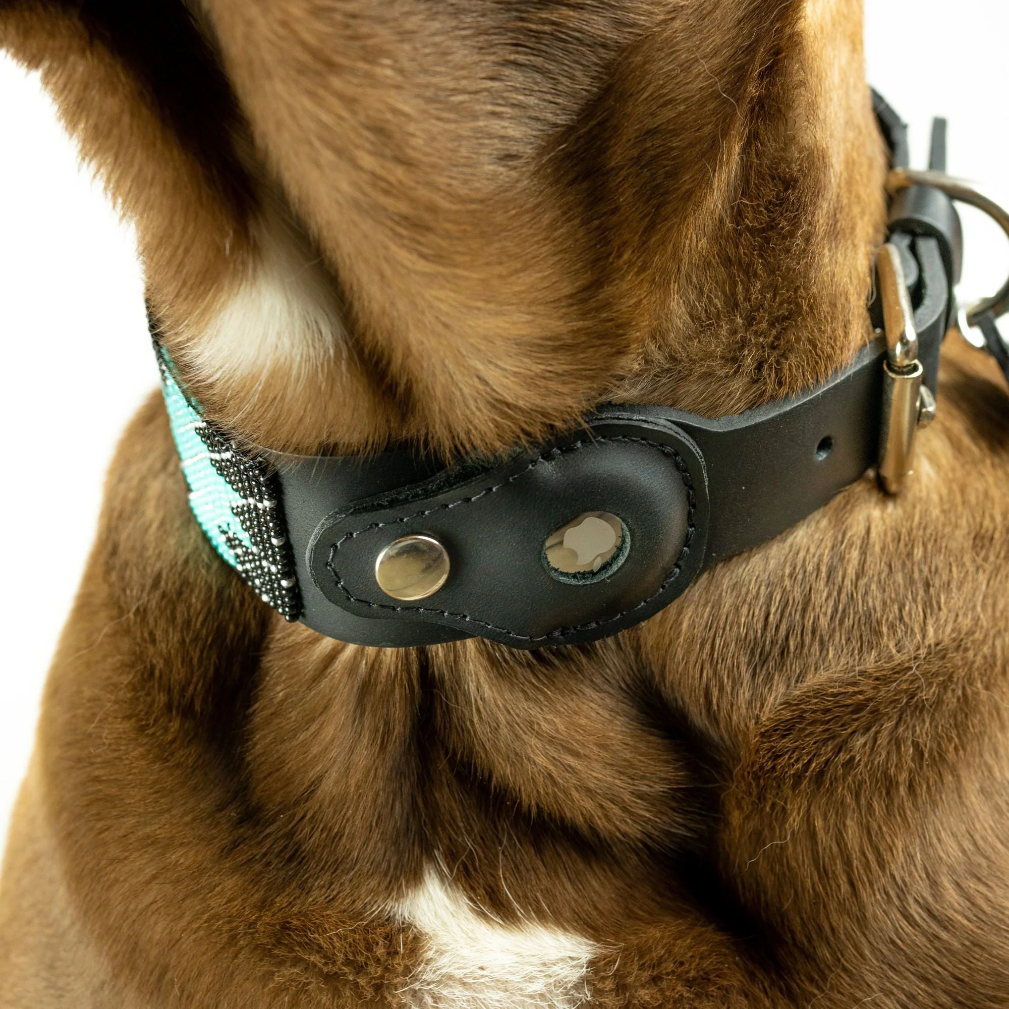 Saint Barth Sambboho dog collar (with AirTag holder) - Image 4