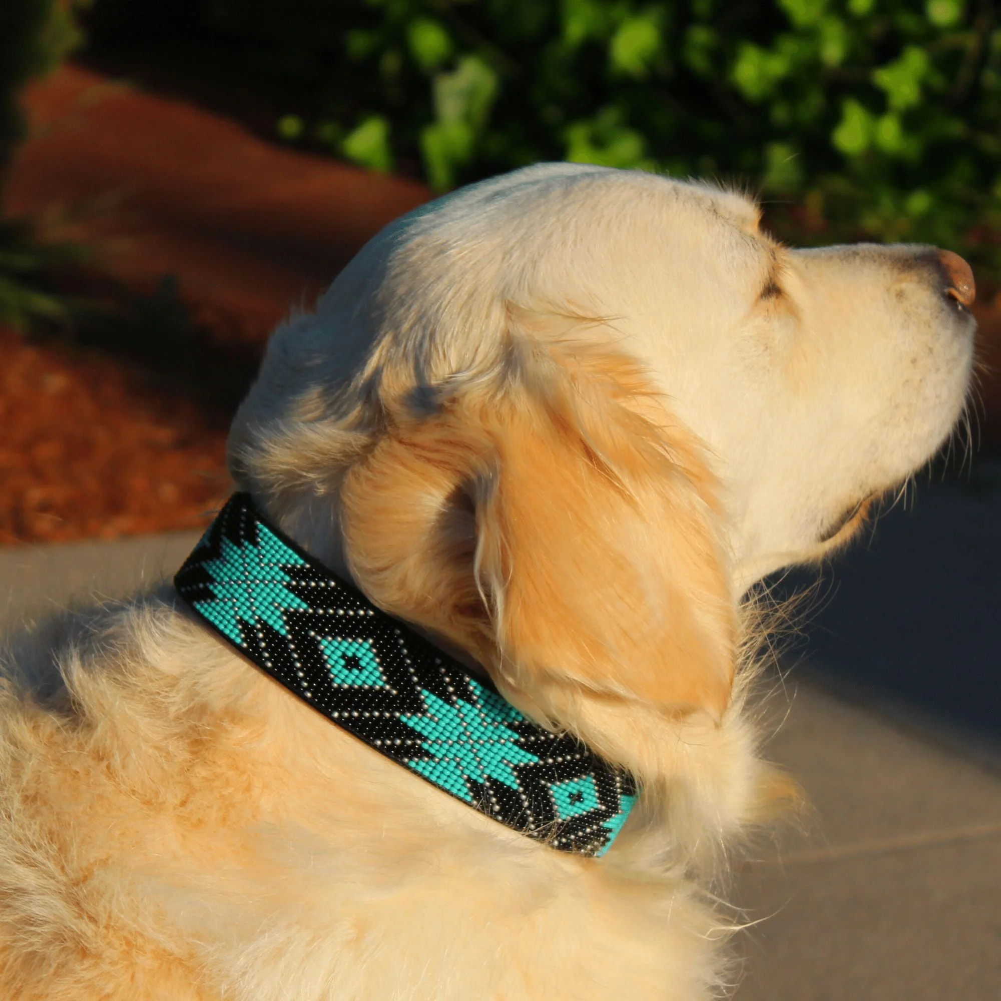 Saint Barth Sambboho dog collar (with AirTag holder) - Image 5