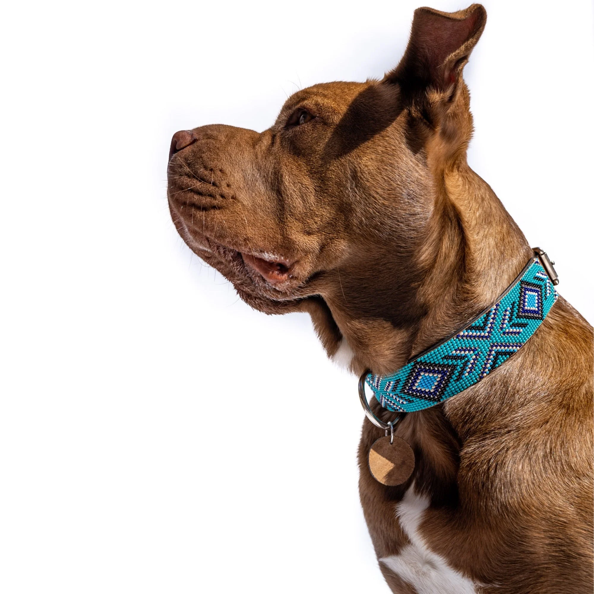 Saint Tropez Sambboho dog collar (with center D-ring) - Image 4