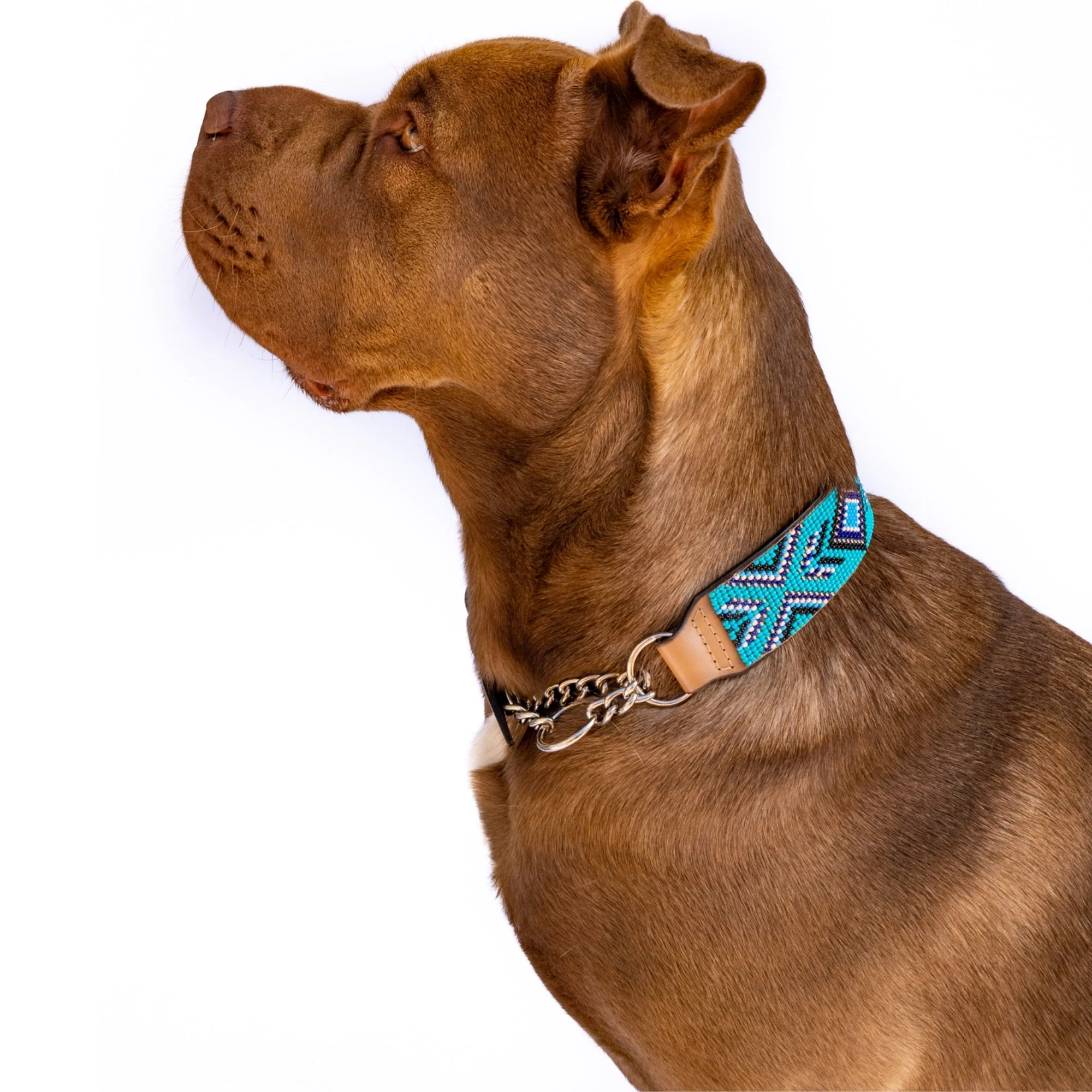 Saint-Tropez Sambboho Martingale dog collar (Training) - Image 3
