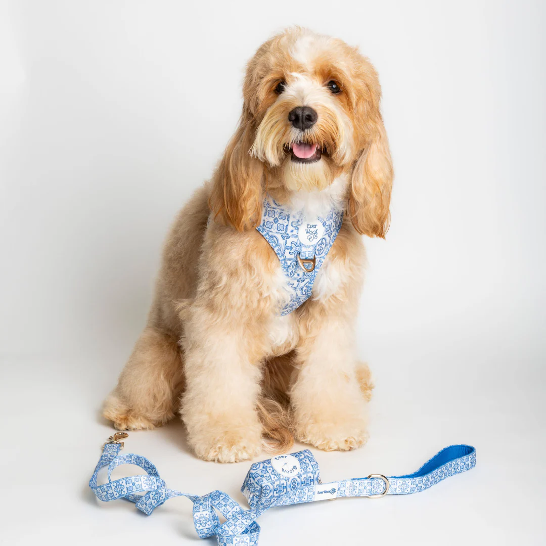 Santorini Adjustable Harness - Image 5