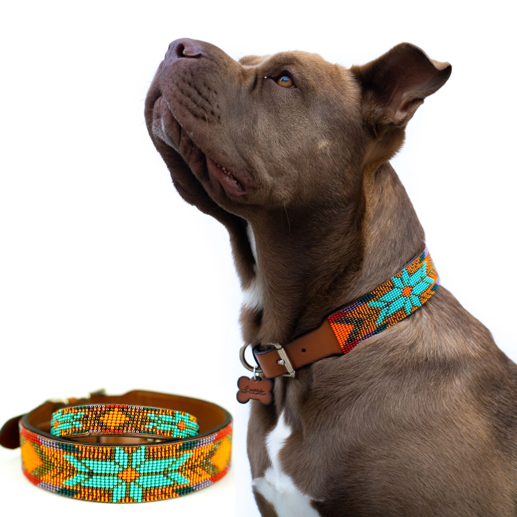 Sardinia Sambboho dog collar (Glam Collection) - Image 4