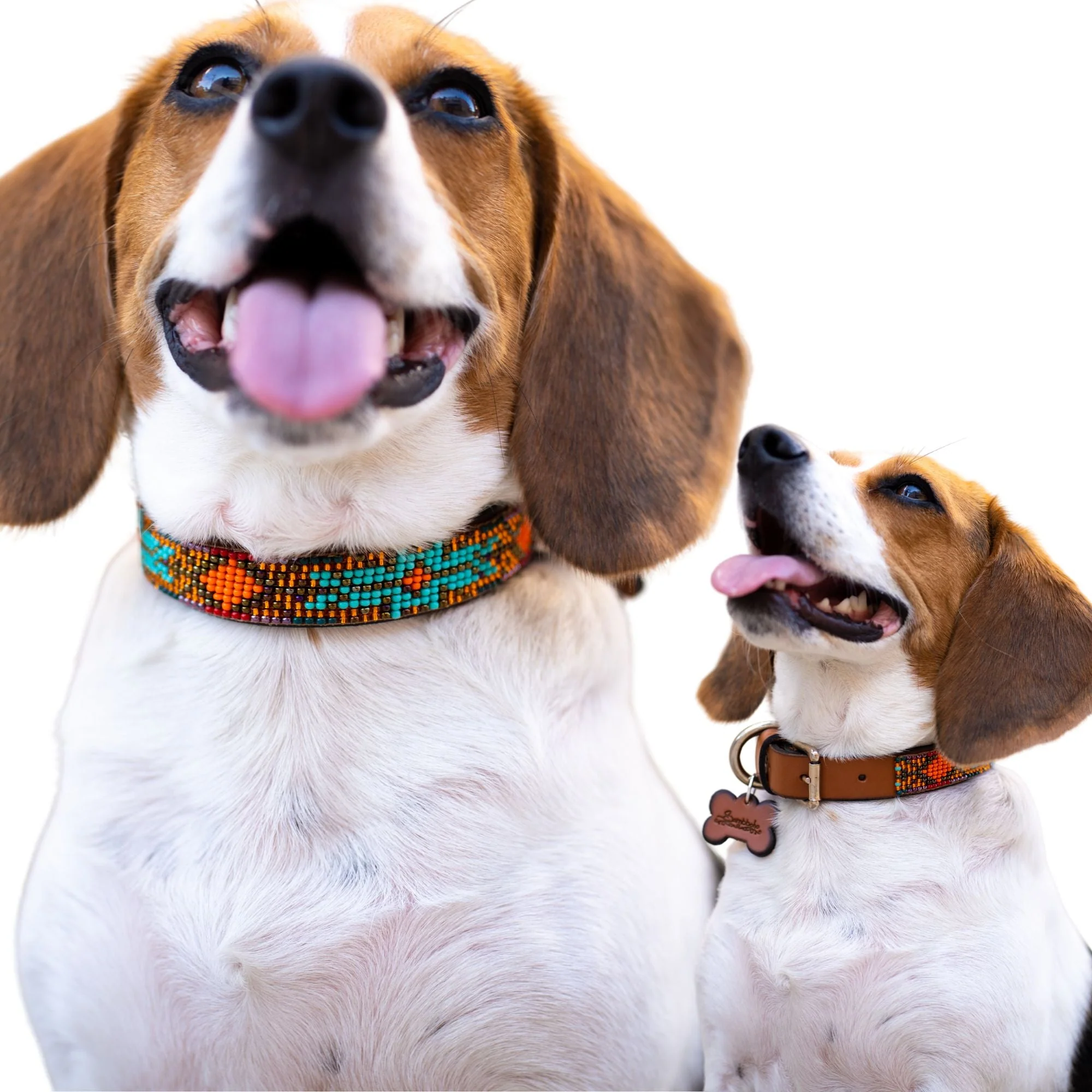 Sardinia Sambboho dog collar (Glam Collection) - Image 5