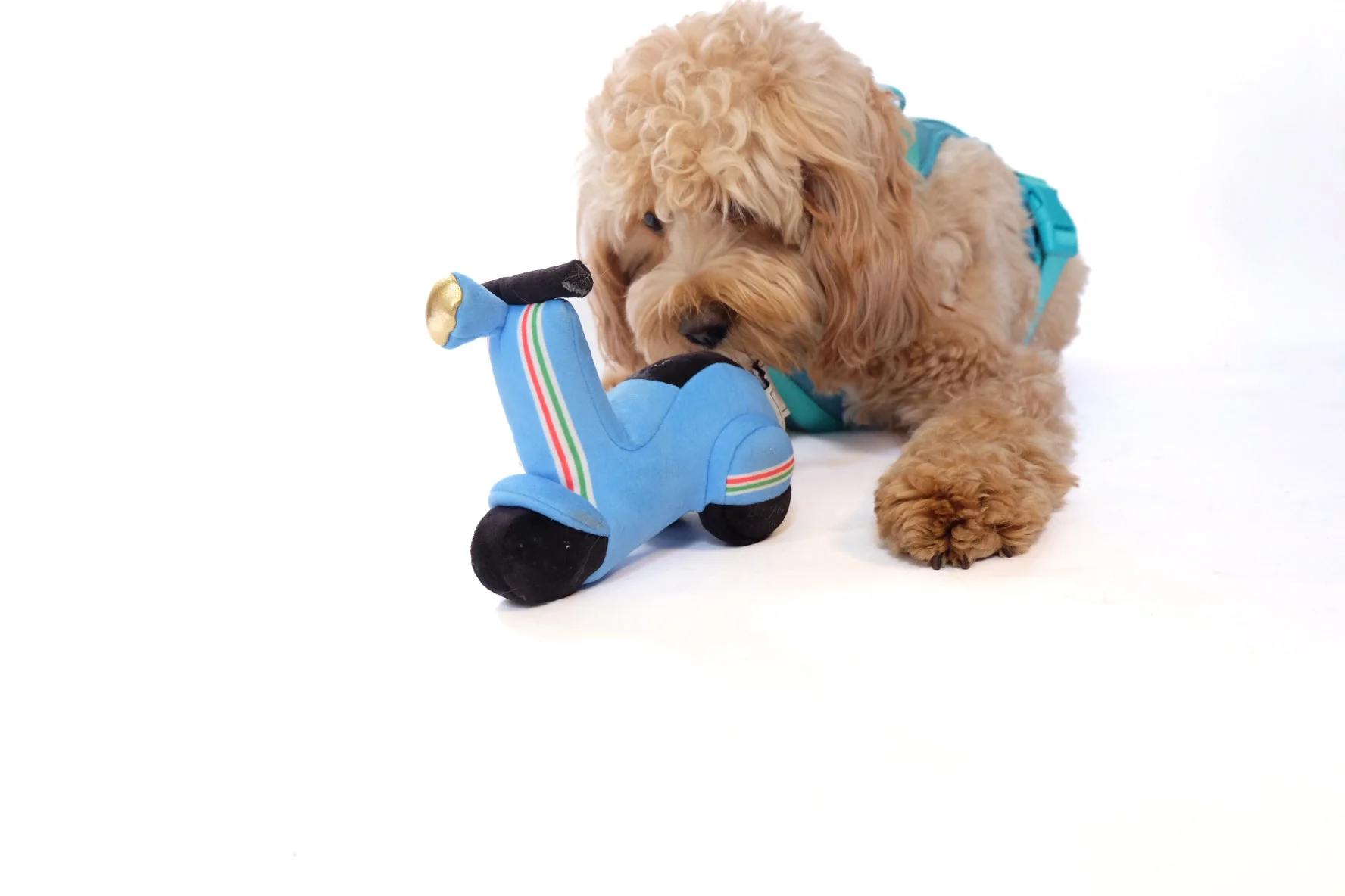 Scooter Pet Plush Toy - Image 2