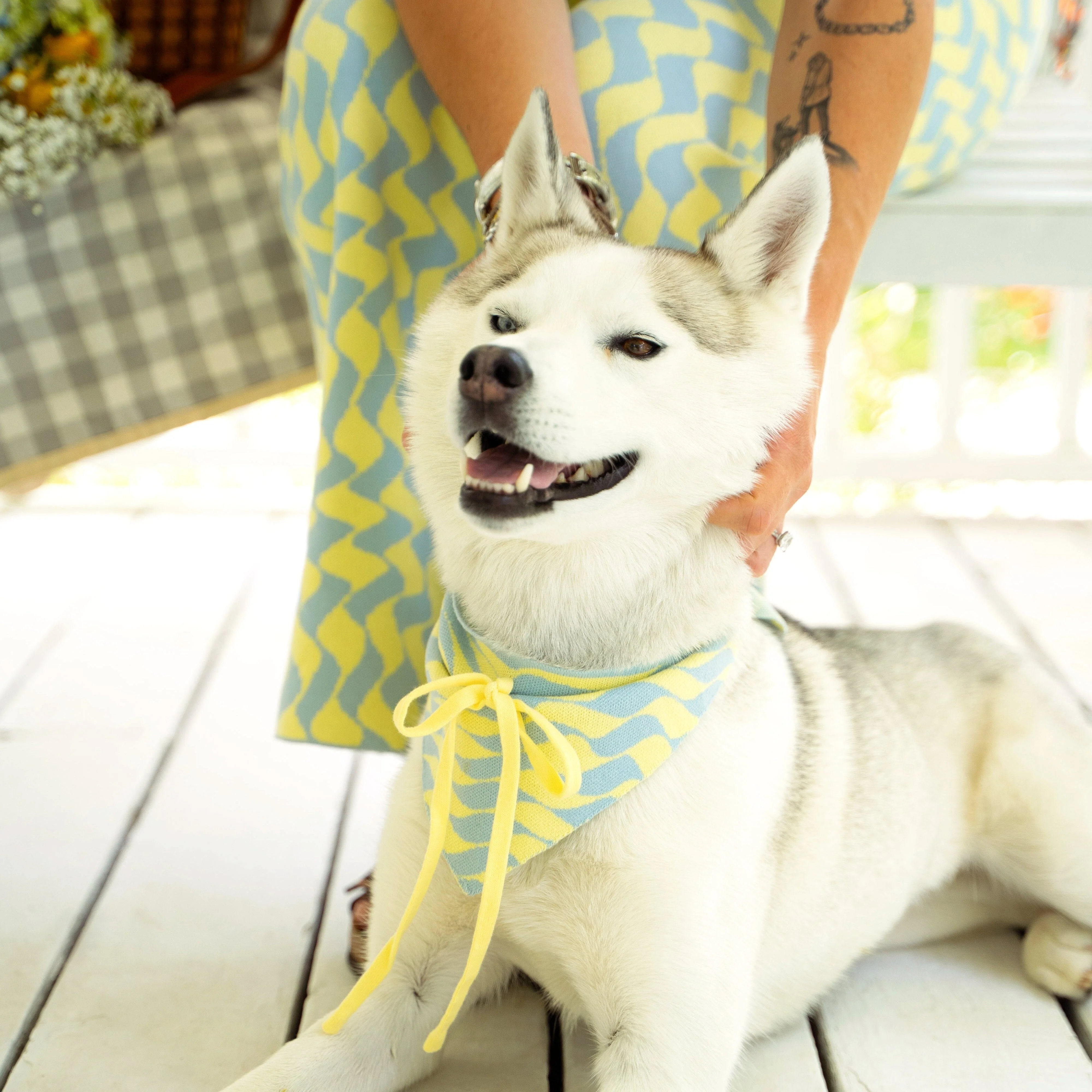 Seaside Swirl Cotton Knitted Dog Bandana - Image 6