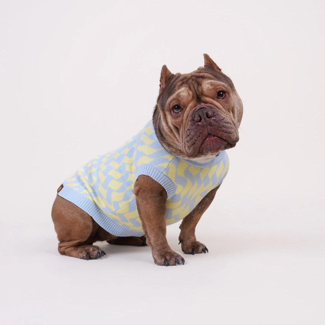 Seaside Swirl Cotton Knitted Dog Vest - Image 3