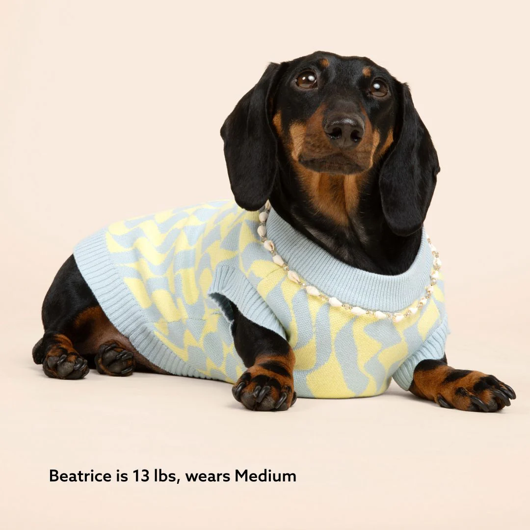 Seaside Swirl Cotton Knitted Dog Vest - Image 6