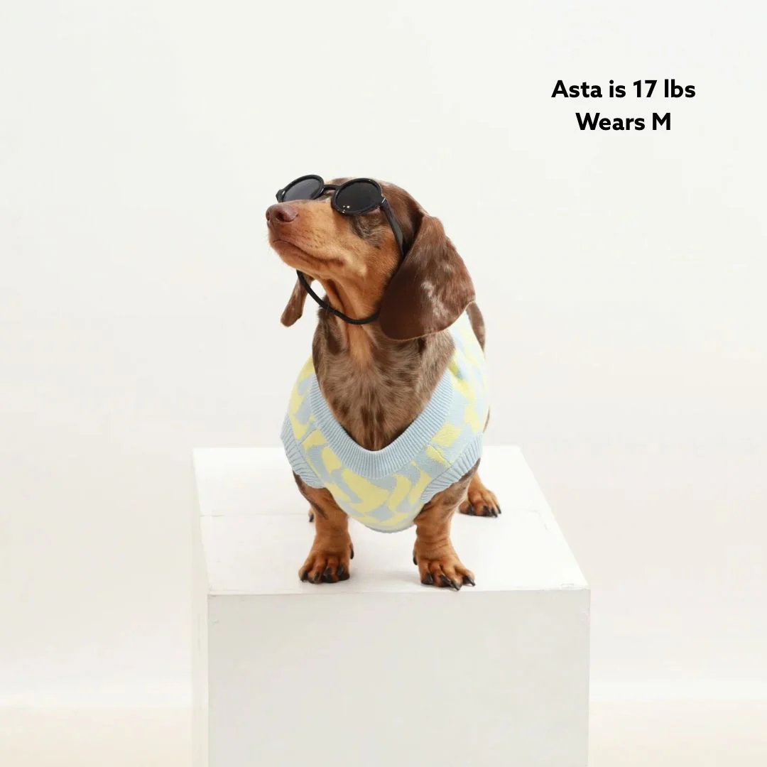 Seaside Swirl Cotton Knitted Dog Vest - Image 7