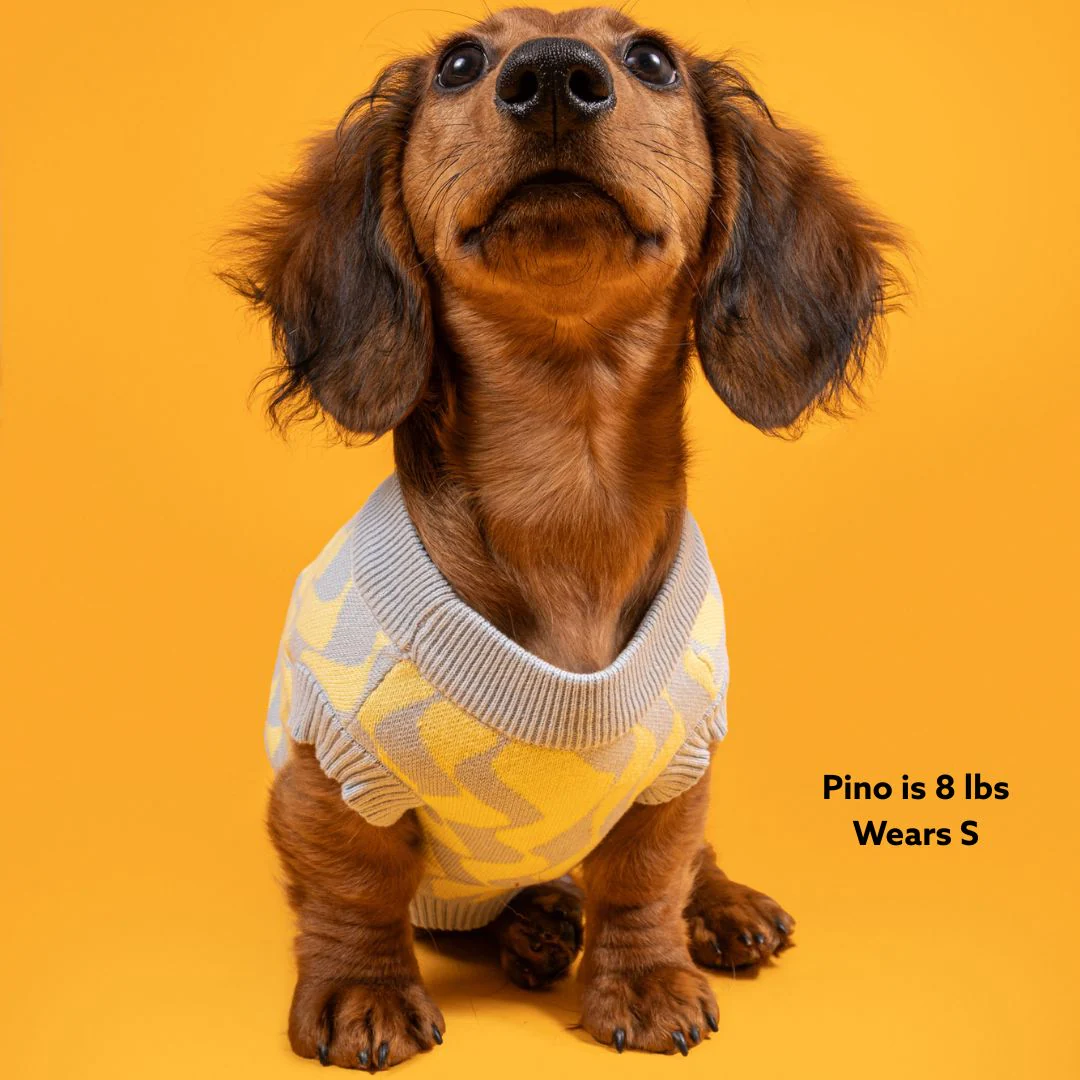 Seaside Swirl Cotton Knitted Dog Vest - Image 8
