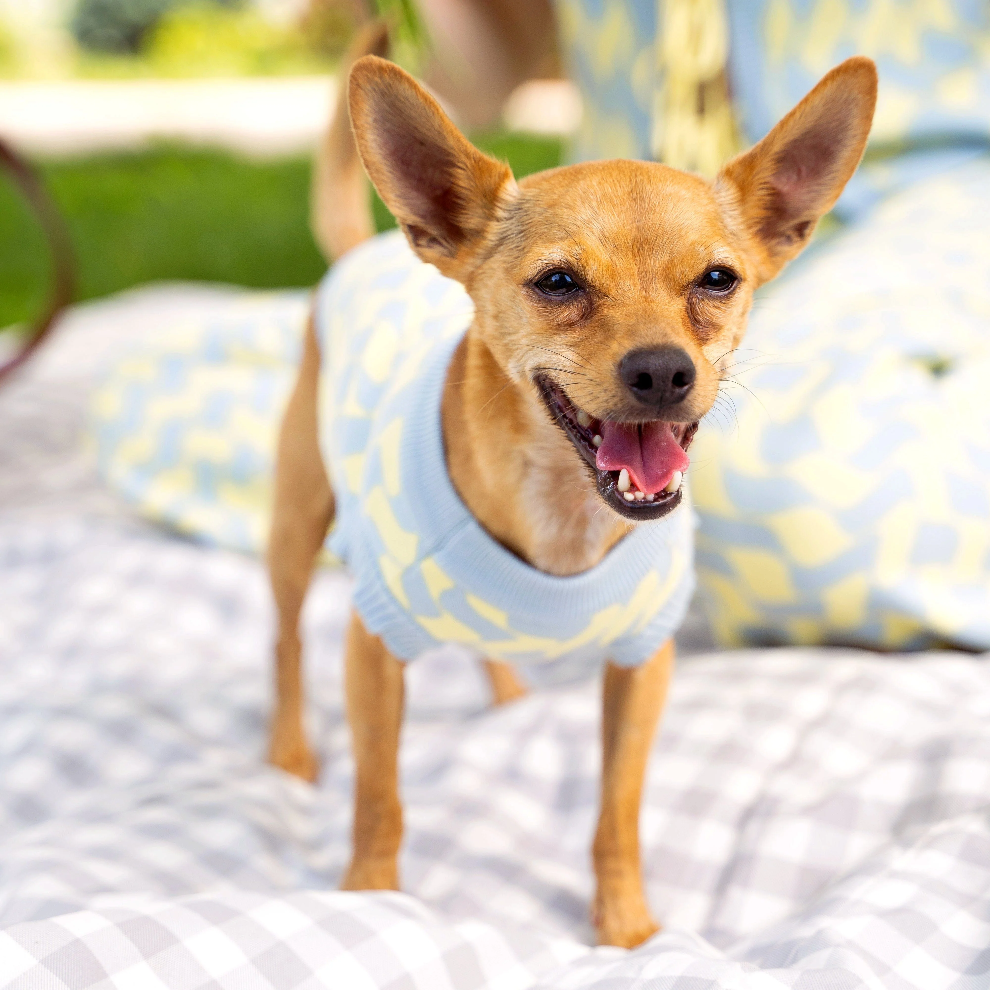 Seaside Swirl Cotton Knitted Dog Vest - Image 9
