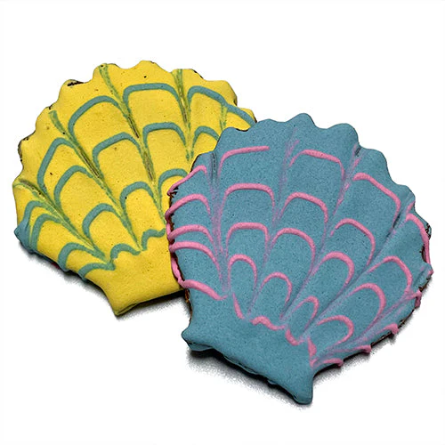 Shells