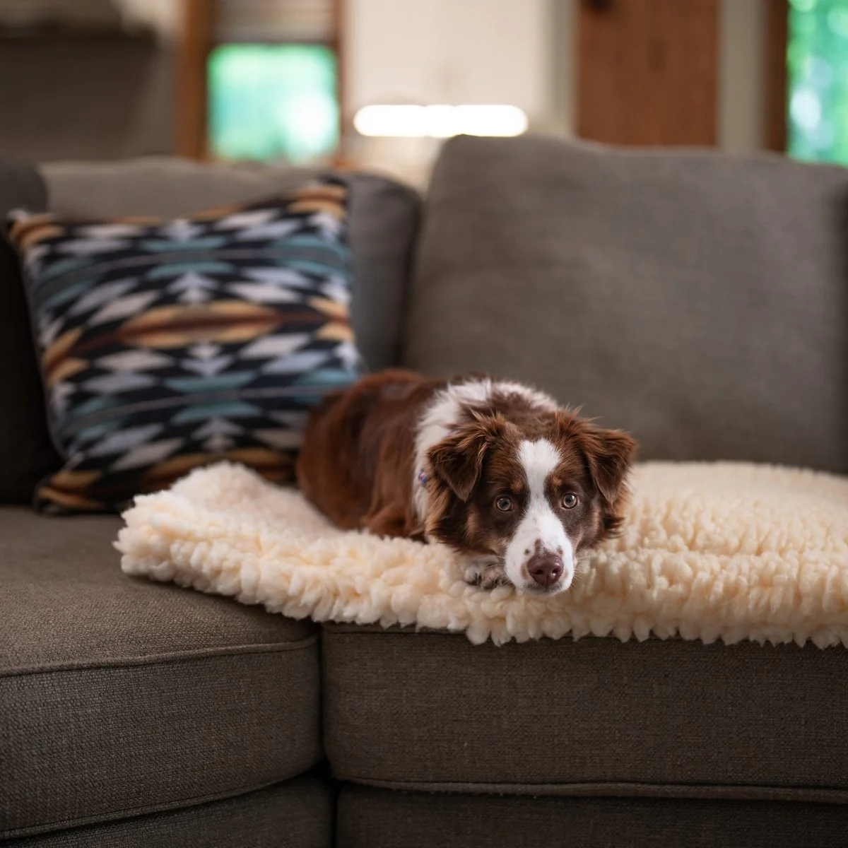 Sherpa Comfort Cushion - Image 6