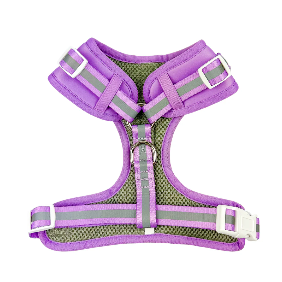 Shine Bright - Amethyst Adjustable Harness - Image 2