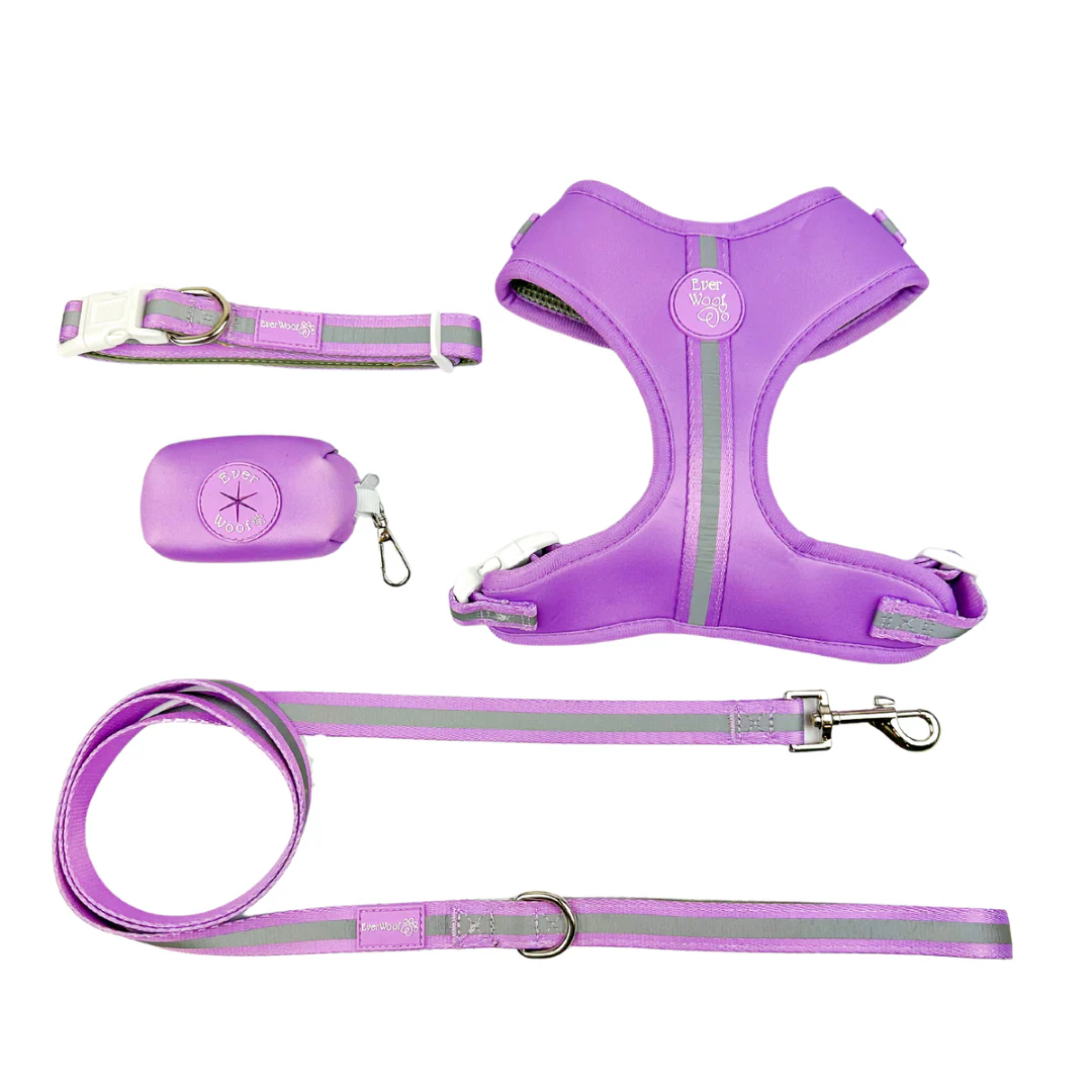 Shine Bright - Amethyst Adjustable Harness - Image 3