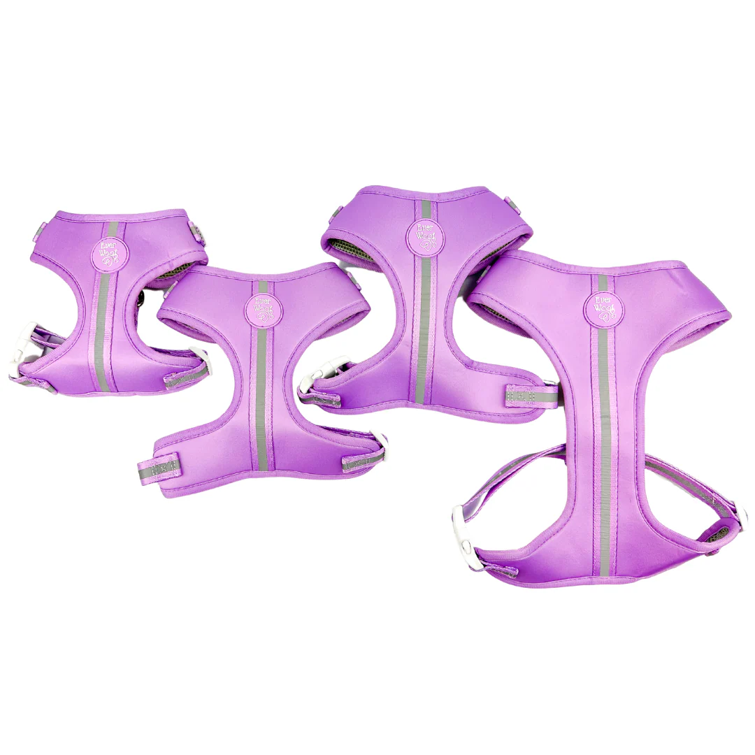 Shine Bright - Amethyst Adjustable Harness - Image 4