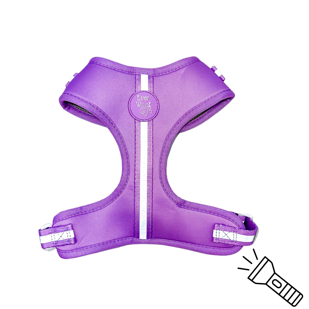 Shine Bright - Amethyst Adjustable Harness - Image 5