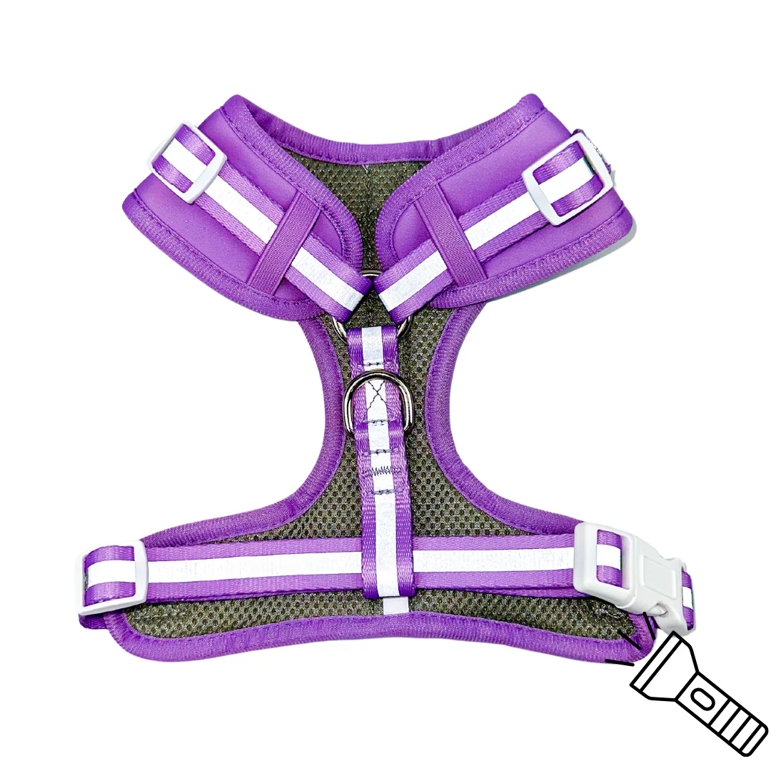 Shine Bright - Amethyst Adjustable Harness - Image 6