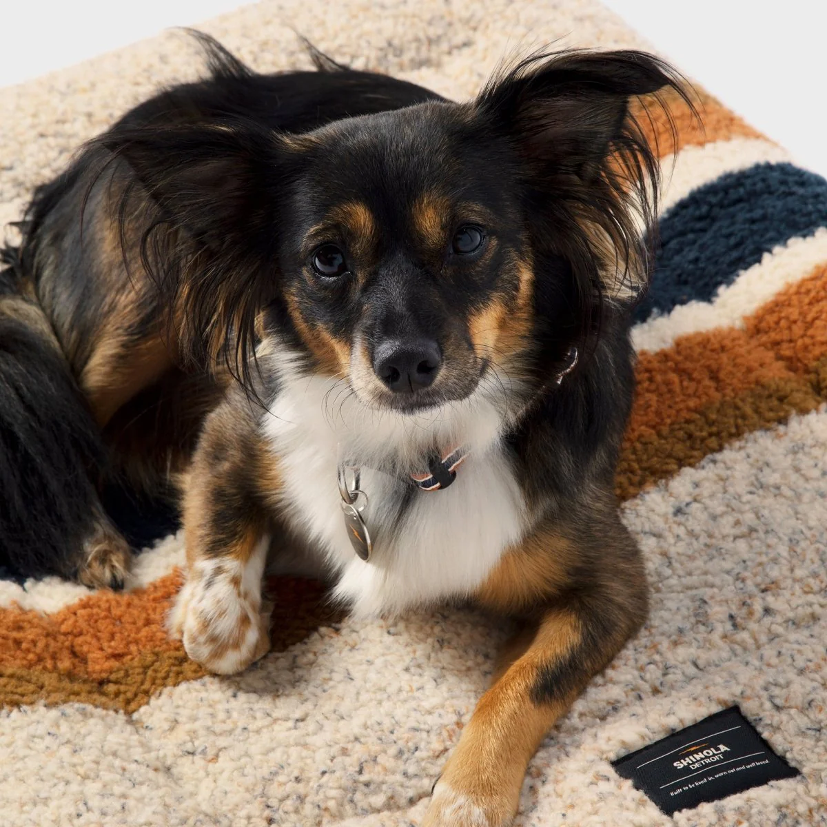 Shinola Brand Stripe Comfort Cushion Berber Dog Bed Oatmeal - Image 3