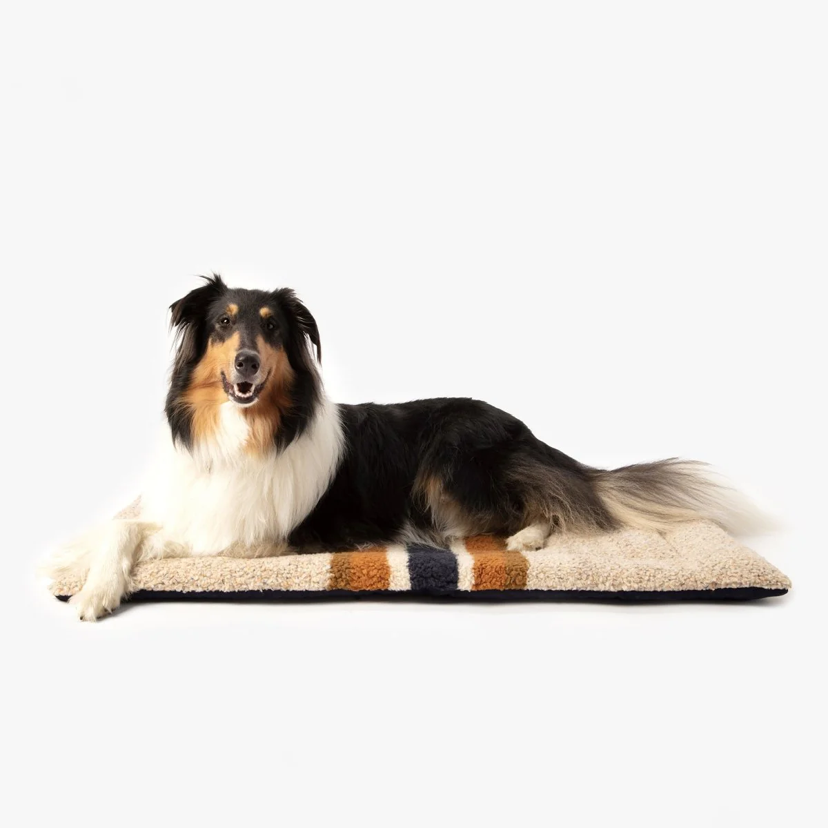 Shinola Brand Stripe Comfort Cushion Berber Dog Bed Oatmeal - Image 4