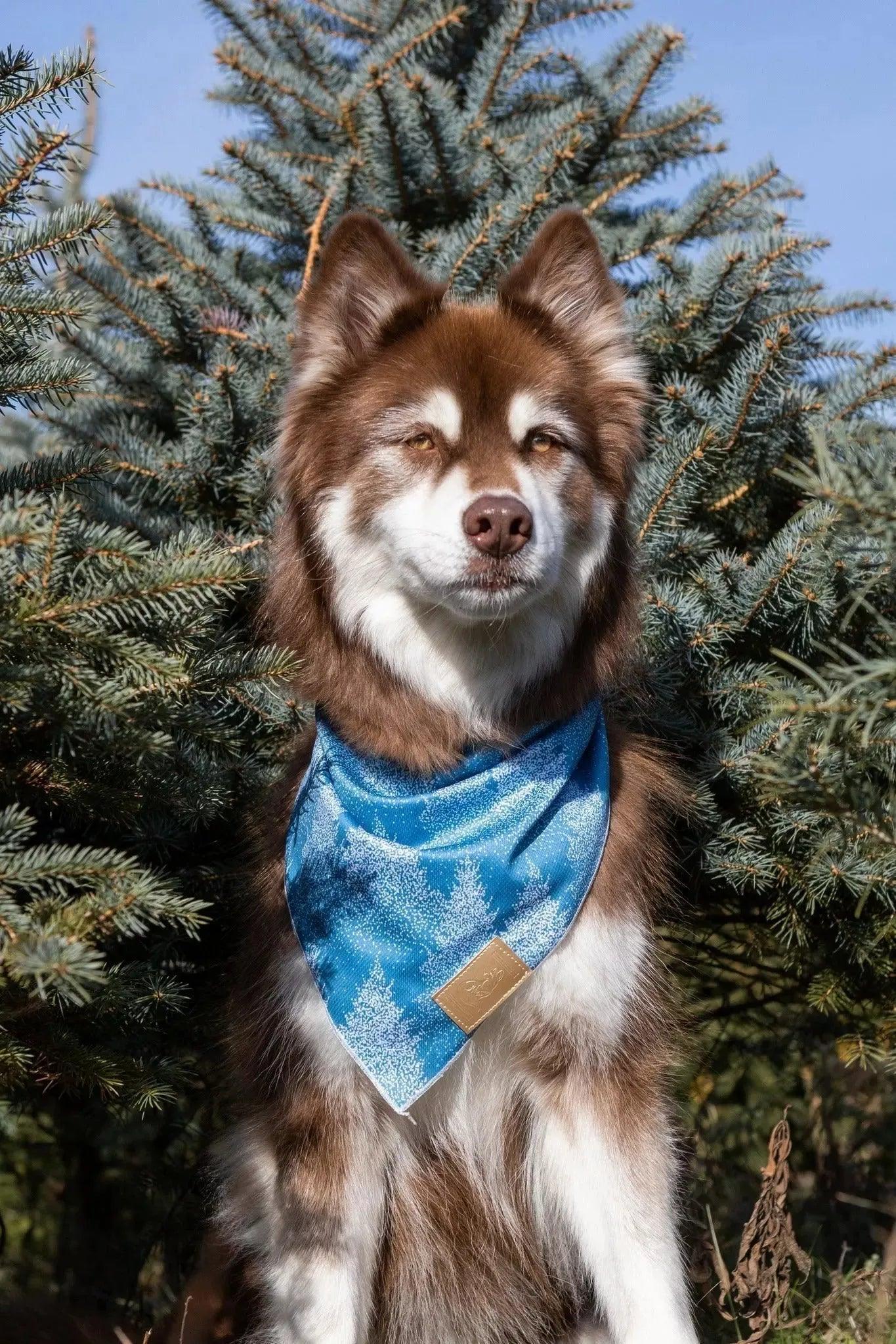Siberian Spruce Dog Bandana - Image 2