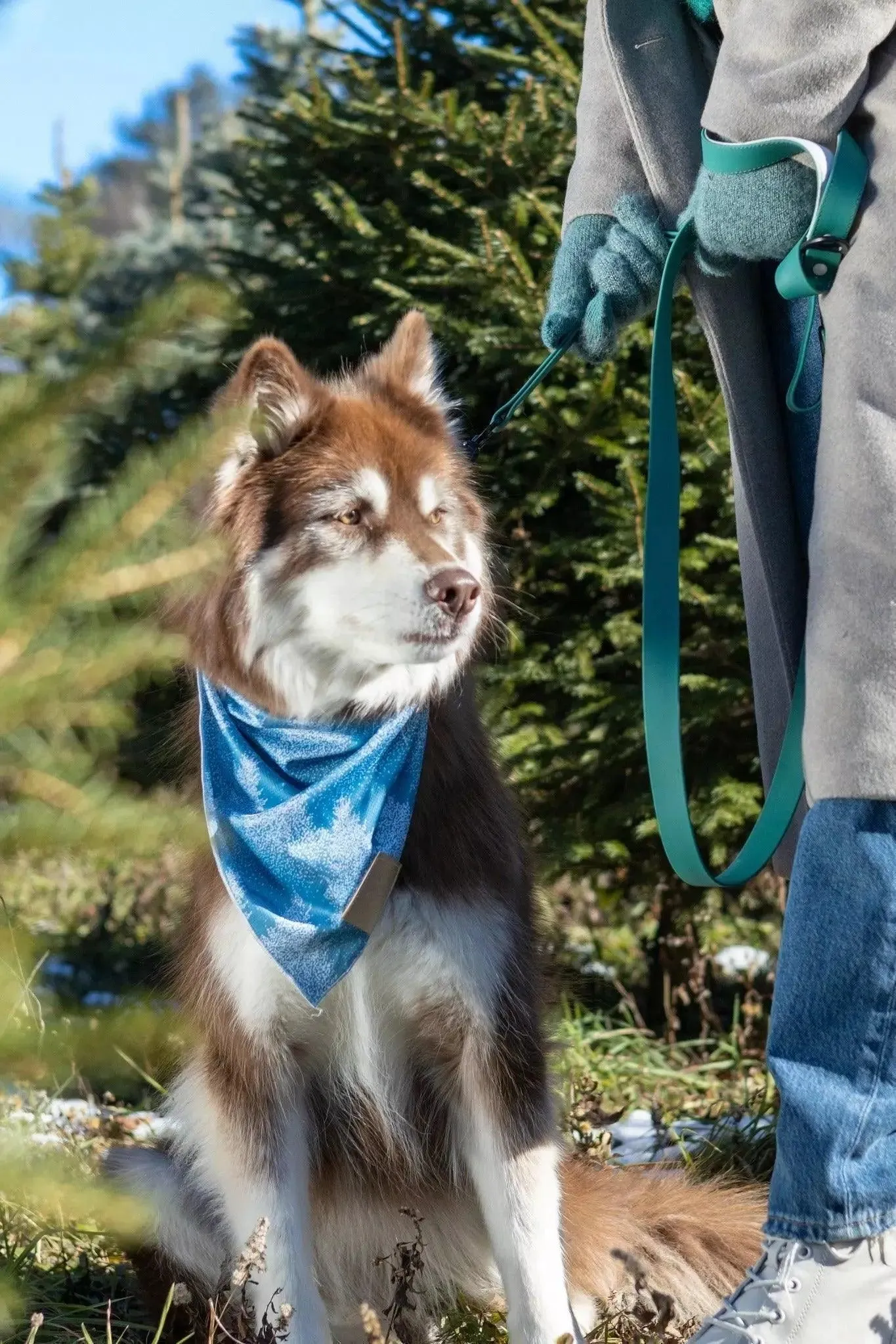 Siberian Spruce Dog Bandana & Matching Keychain - Image 5