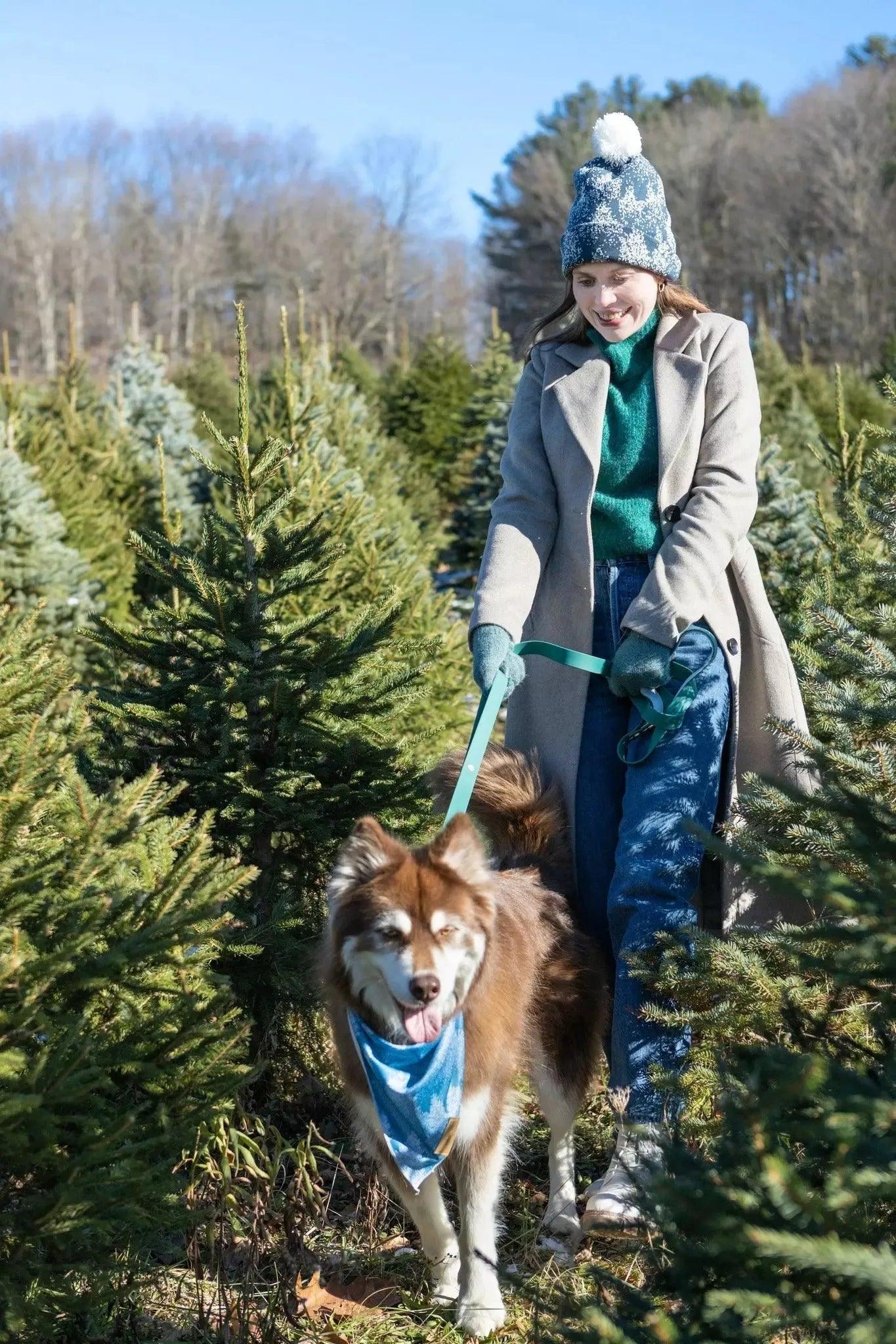 Siberian Spruce Waterproof Dog Collar - Image 4