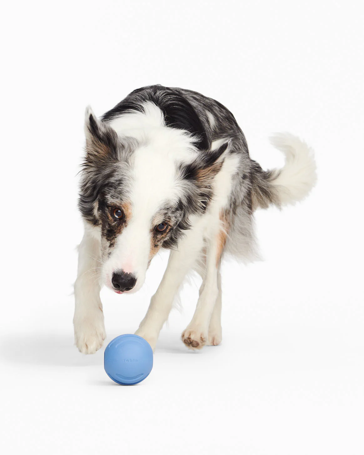 Signature Ball - Image 21