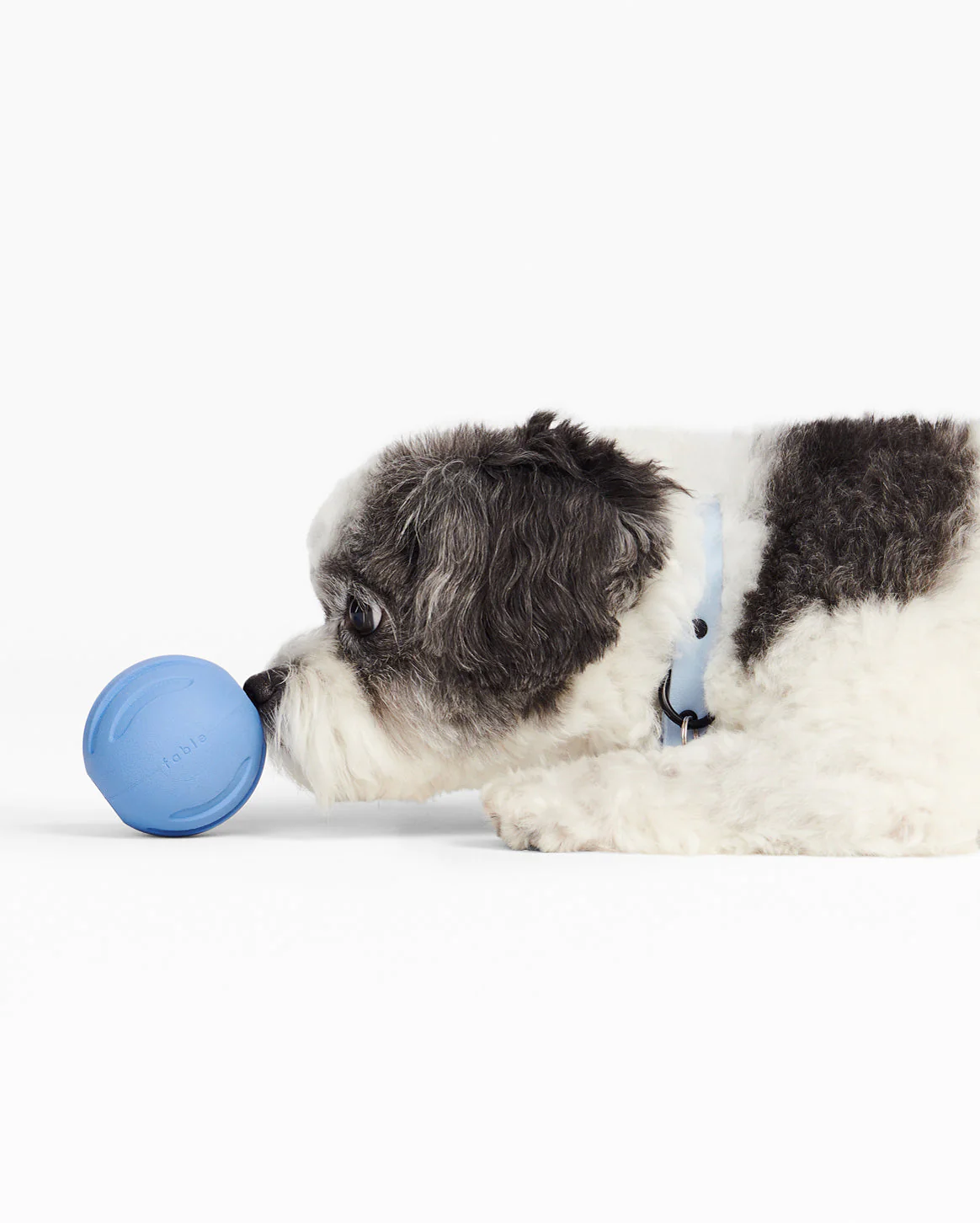 Signature Ball - Image 23