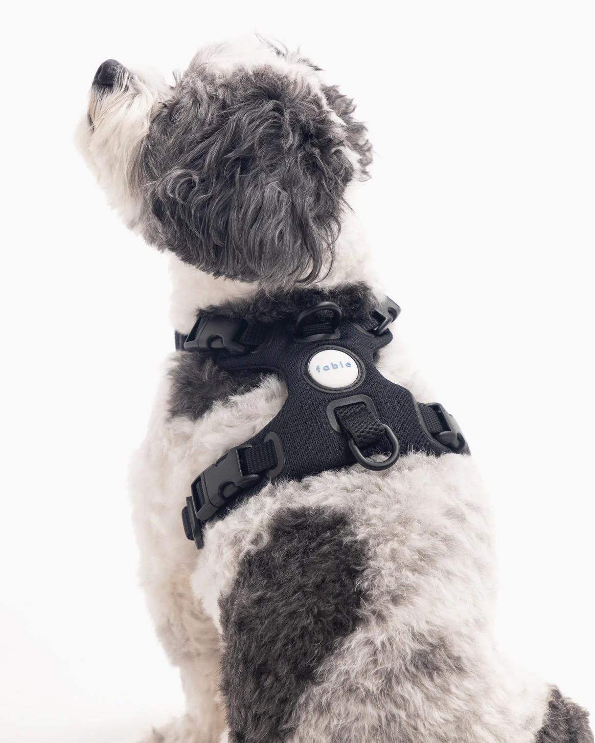 Signature Harness - Image 5