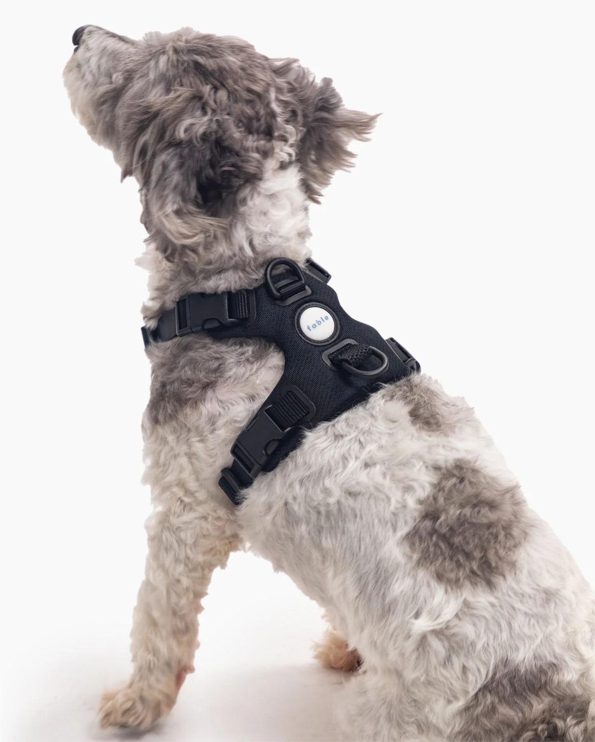 Signature Harness - Image 7