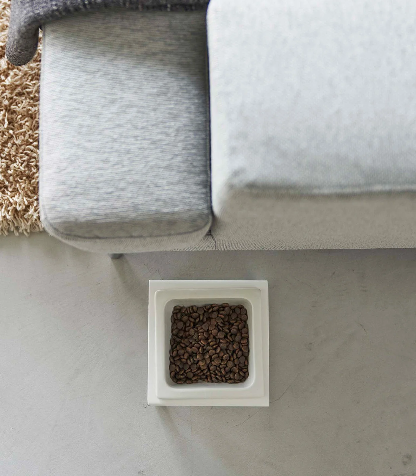 Single Pet Food Bowl - Tall - Steel + Ceramic - Image 5