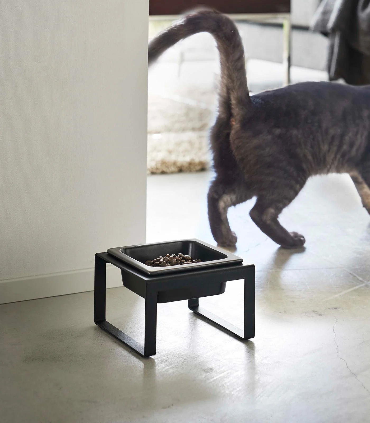 Single Pet Food Bowl - Tall - Steel + Ceramic - Image 7