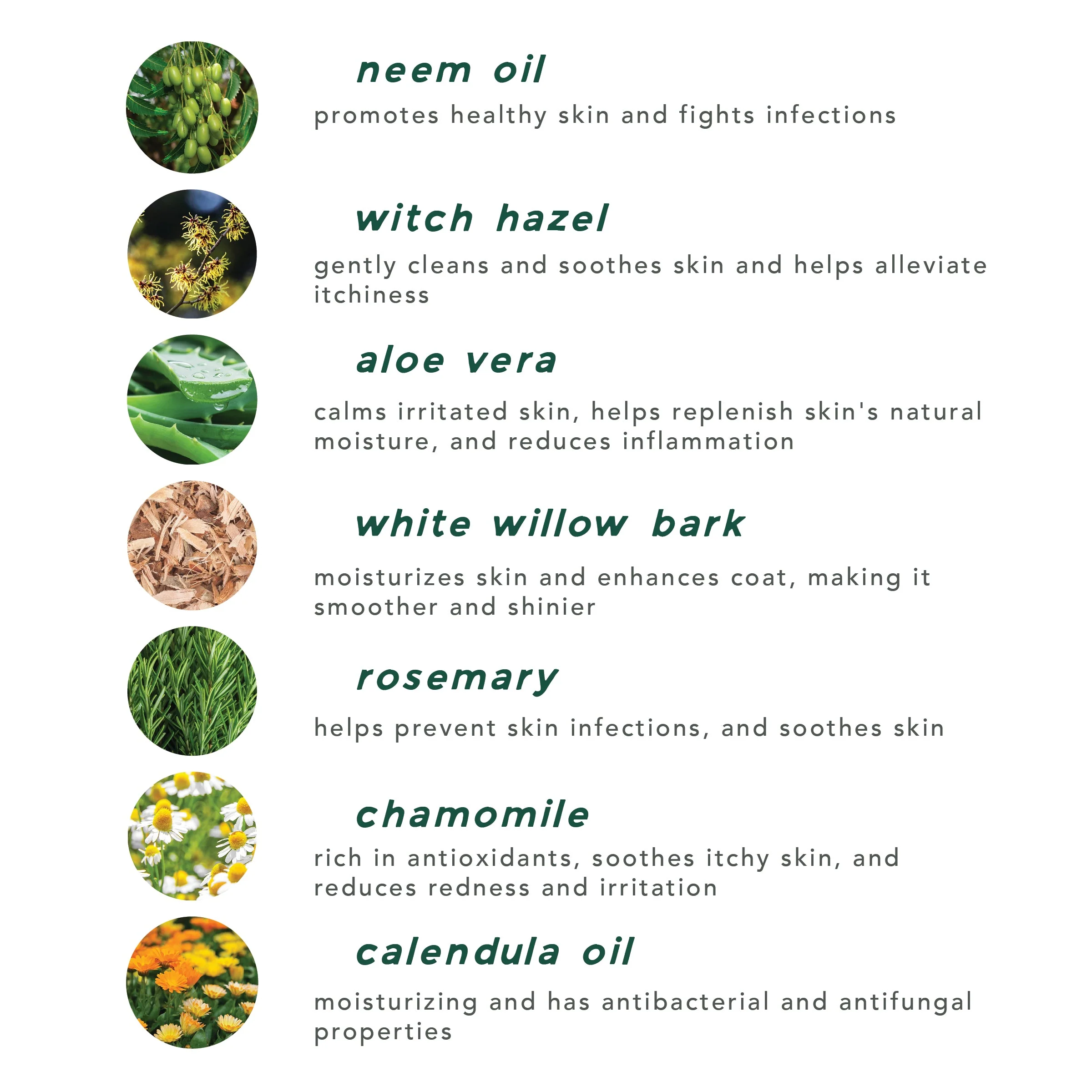 skin tonic + ear wash - Image 4