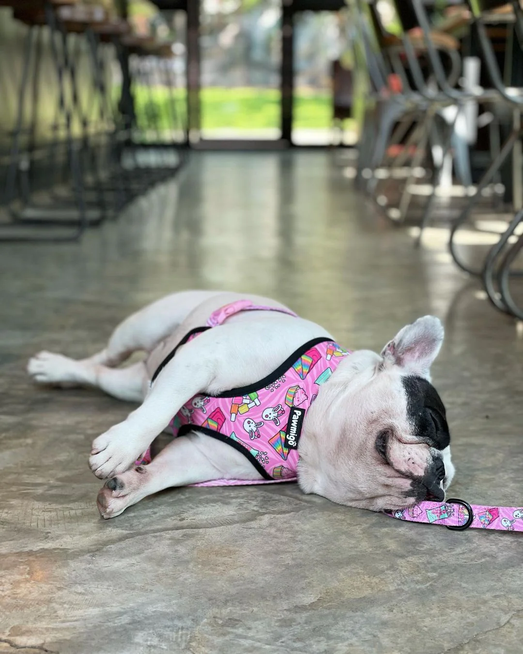 Slumber Pawty Reversible Harness - Image 4