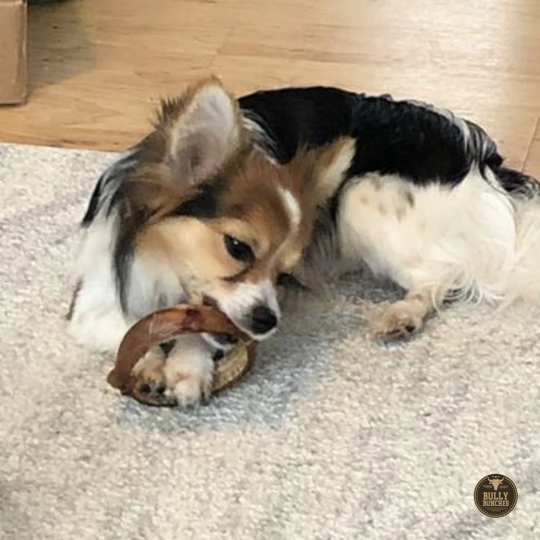 Small Bully Stick Ring - Image 3