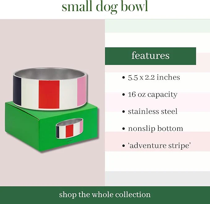 Kate Spade Adventure Stripe Food & Water Bowl for Dogs, Stainless Steel Small Bowl with Non-Slip Base - Image 3