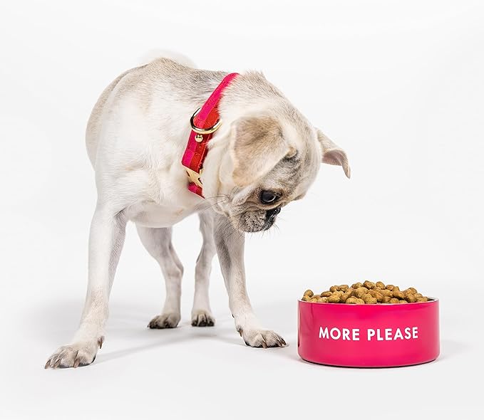 Kate Spade More Please Bowl - Image 4