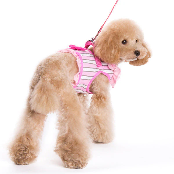 SnapGO SweetBow - Image 6