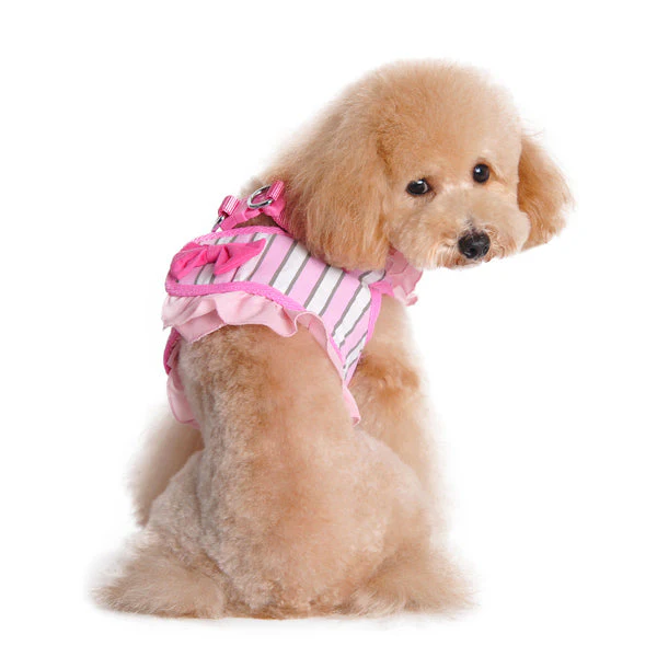 SnapGO SweetBow - Image 7