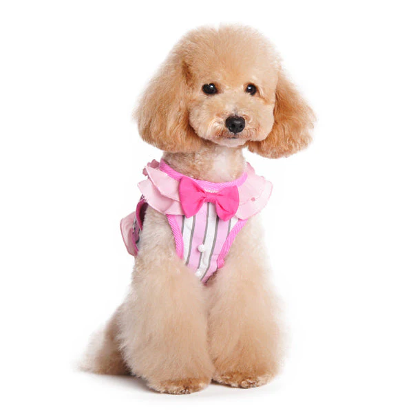 SnapGO SweetBow - Image 9