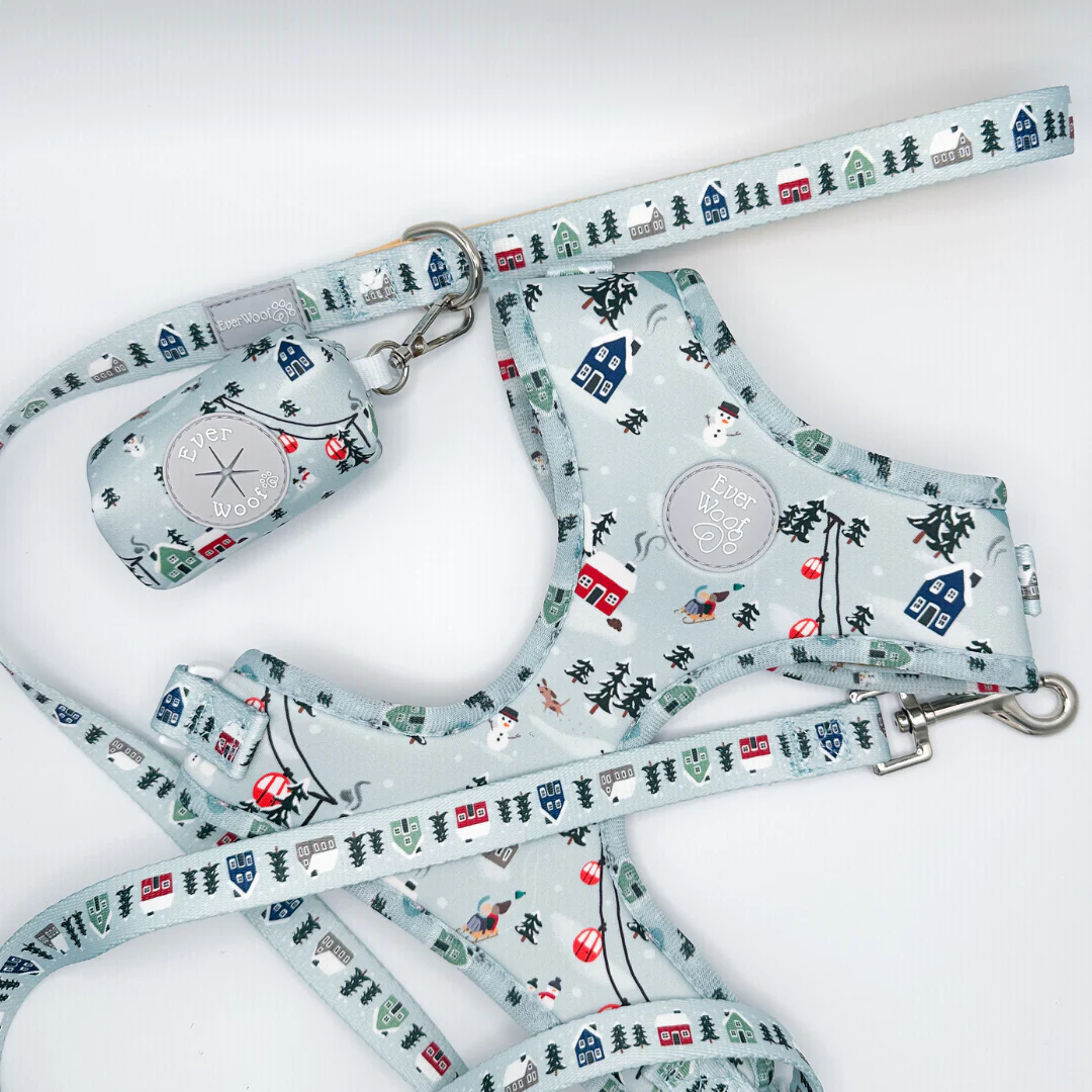Snowy Slopes Leash - Image 3
