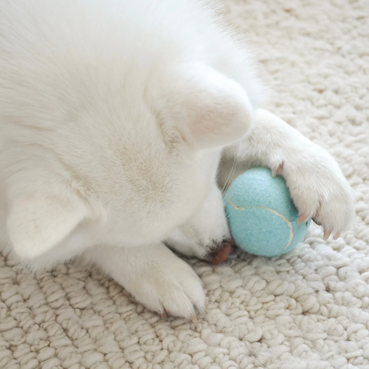 So Fetch! Tennis Ball - Cloud - Image 4