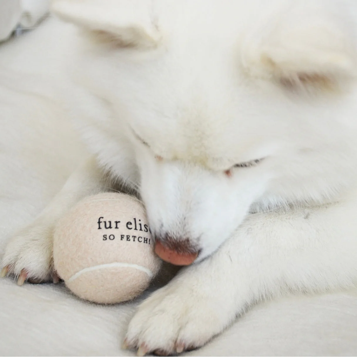 So Fetch! Tennis Ball - Latte - Image 3