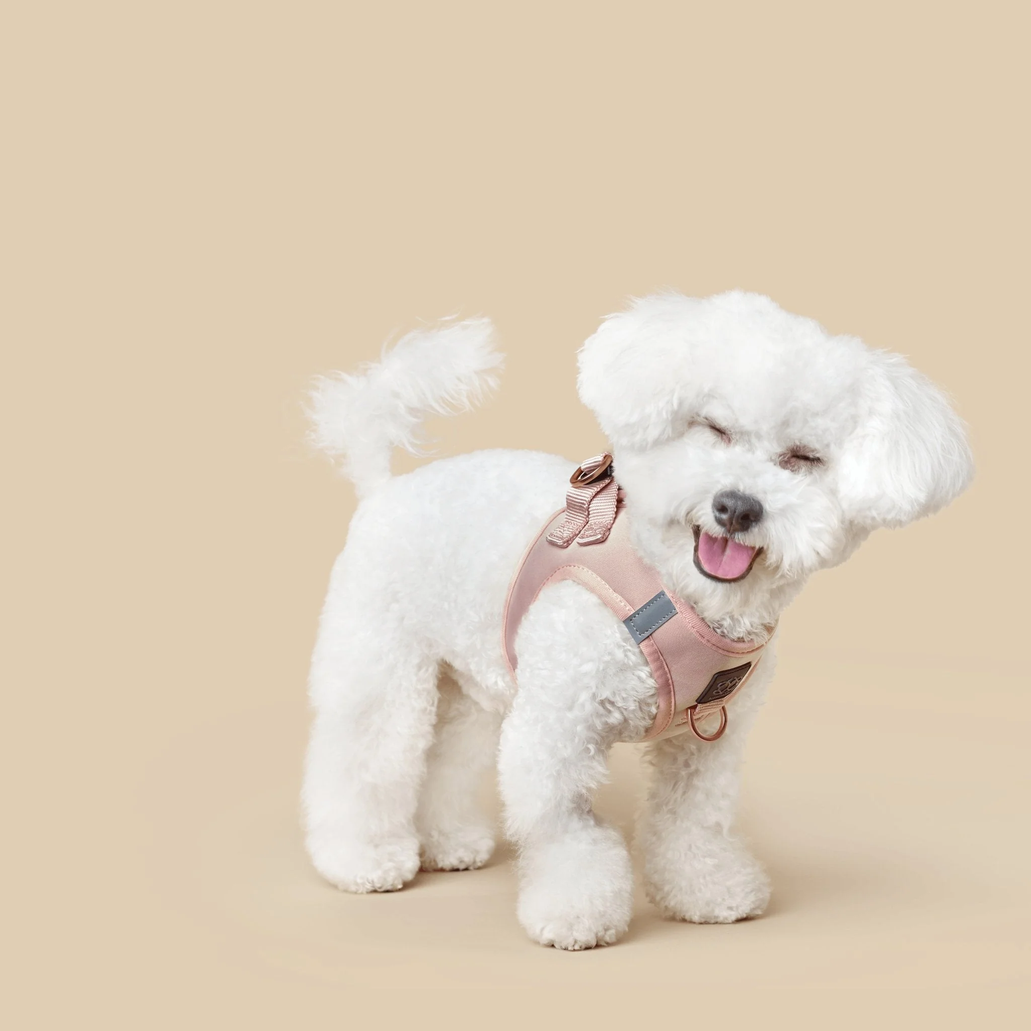 SoHo Dog Harness - Blush Pink - Image 2