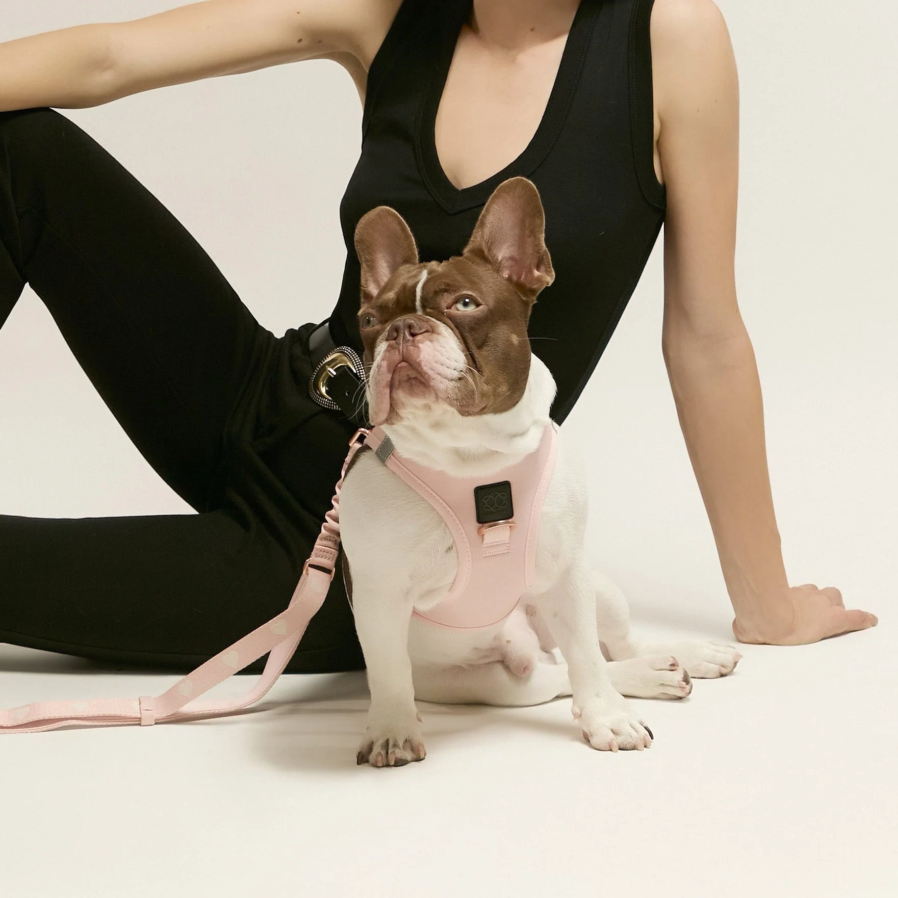 SoHo Dog Harness - Blush Pink - Image 3