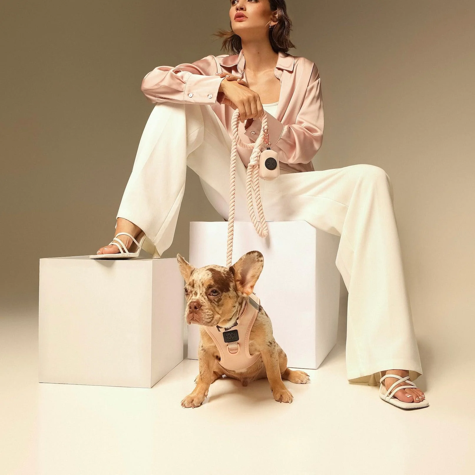 SoHo Dog Harness - Blush Pink - Image 5