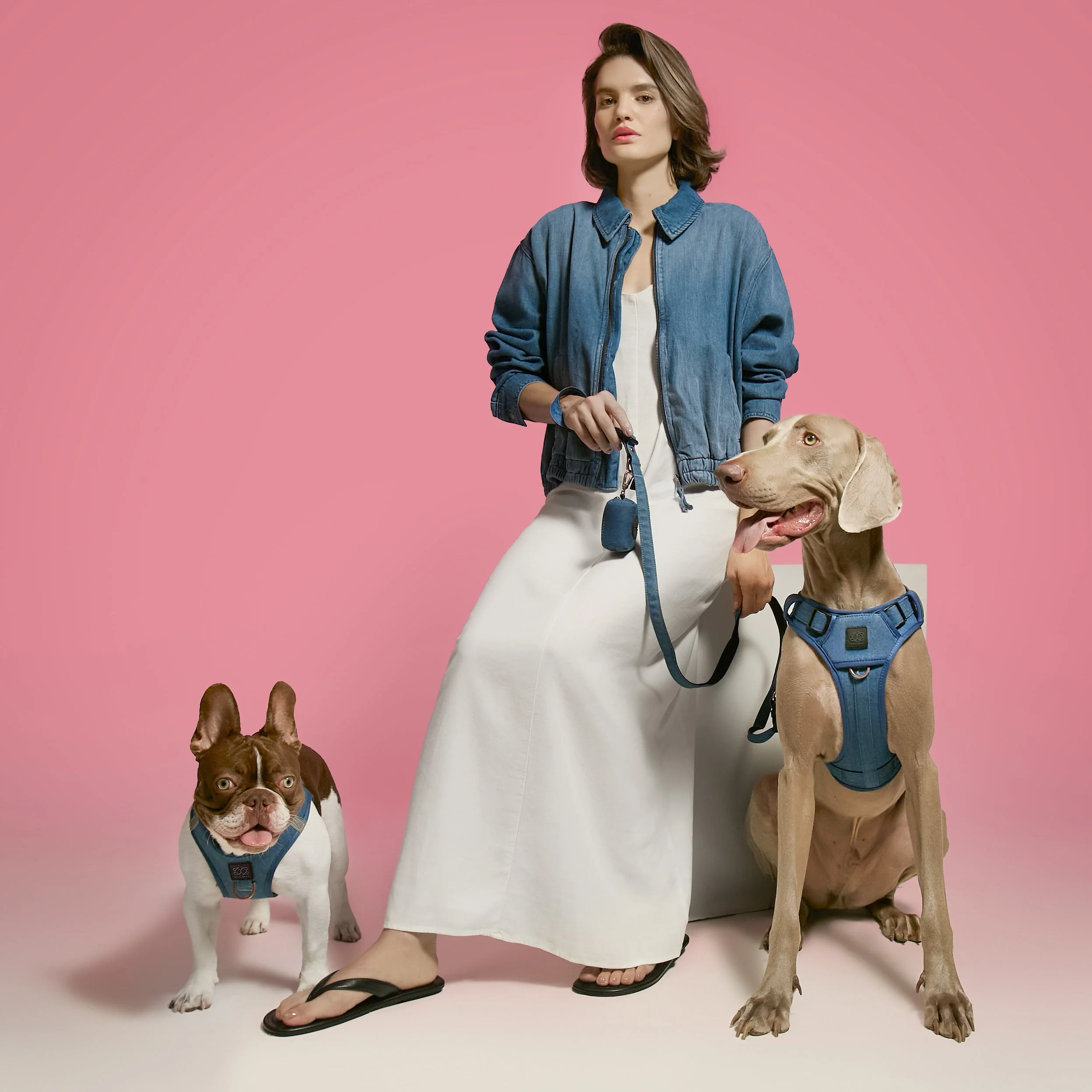 SoHo Dog Harness - Denim - Image 4
